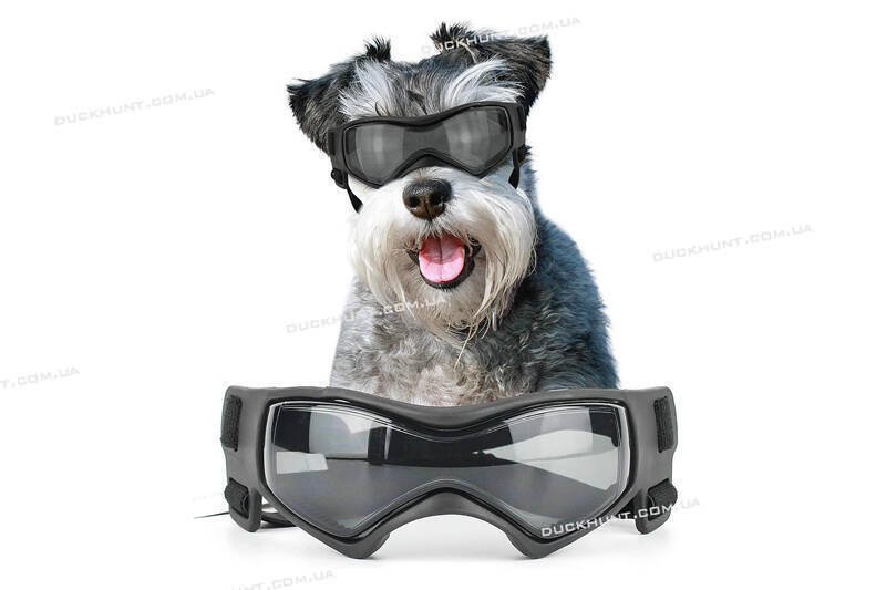 Захисні окуляри для собак дрібних і середніх порід, вітро та УФ захист