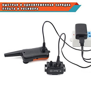 ipet619_310_2