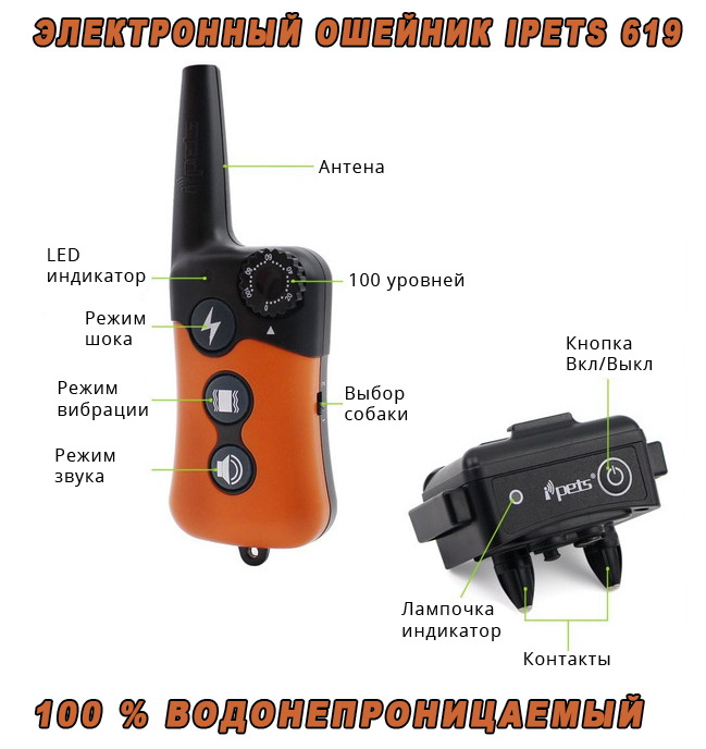 ipets619