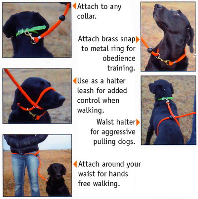 dokken-pro6-5-in-1-leash-inset