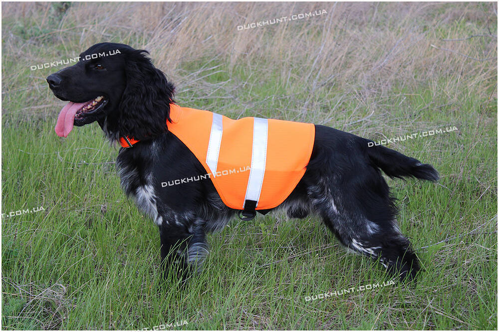 Сигнальный жилет для полювання Dog Ripstop Vest розмір M 