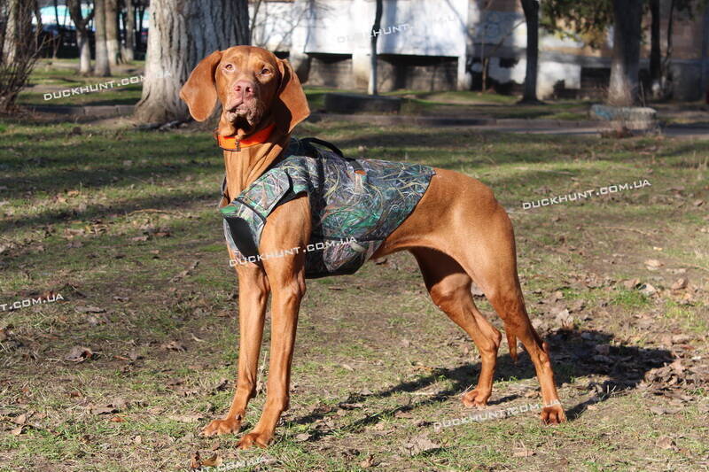 Неопреновий жилет для собак Neoprene Dog Vest 3 мм