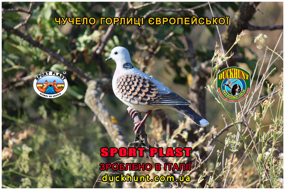 sport_plast_5640