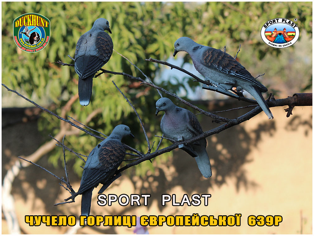 chuchela-goluba/sport_plast_639P