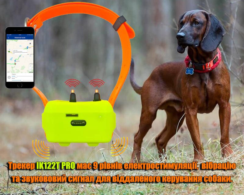 gps_tracker_dlya_sobak_ik122t_pro