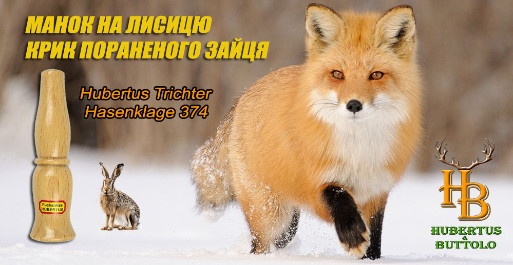 hasenklage-tricher-374-manok-krik-ranenogo-zaytsya