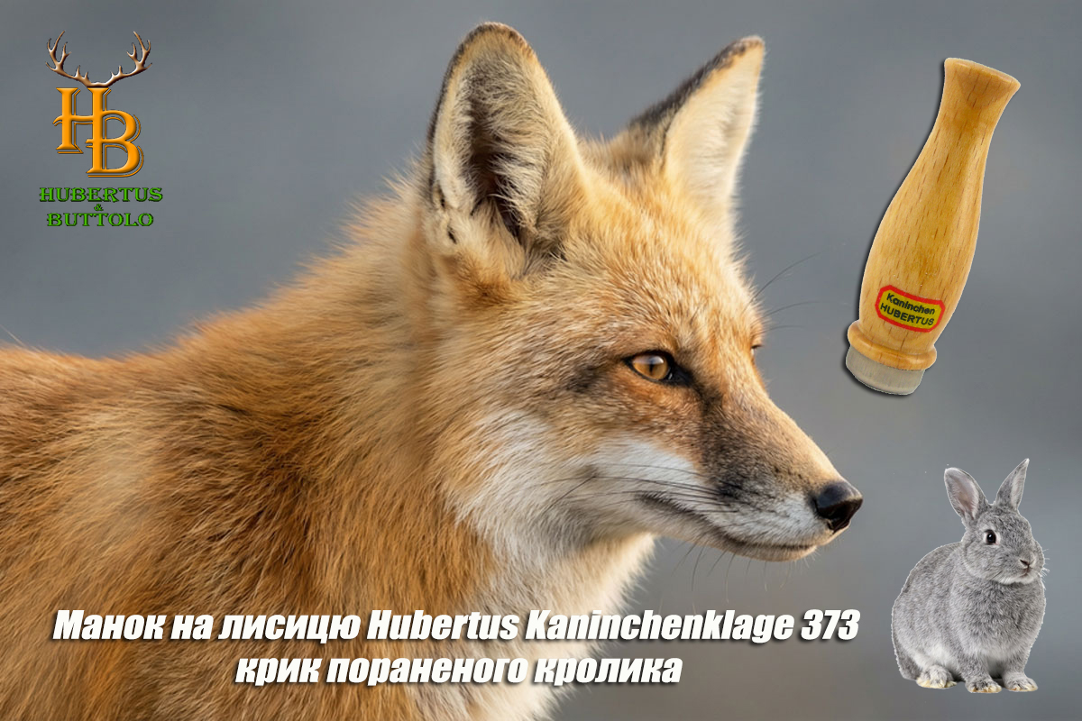 kaninchenklage-373-krik-ranenogo-krolika