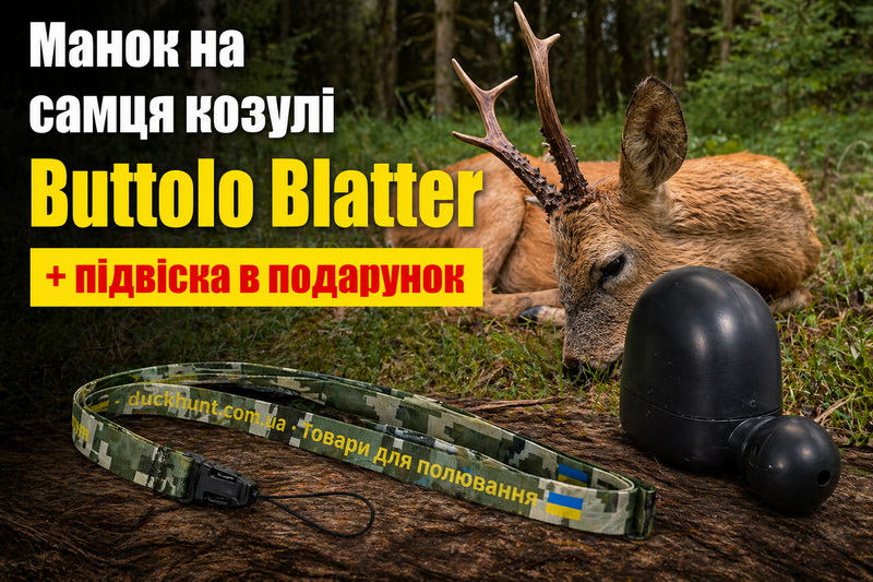 buttolo-blatter-manok-na-kosulyu