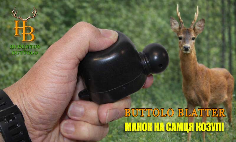 buttolo-blatter-manok-na-kosulyu