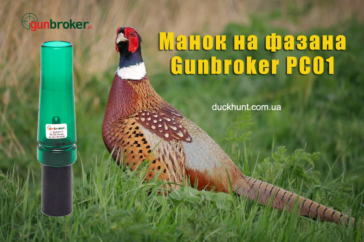manok_na_fazana