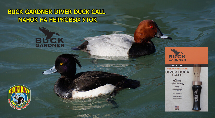 diver_duck_call_bg