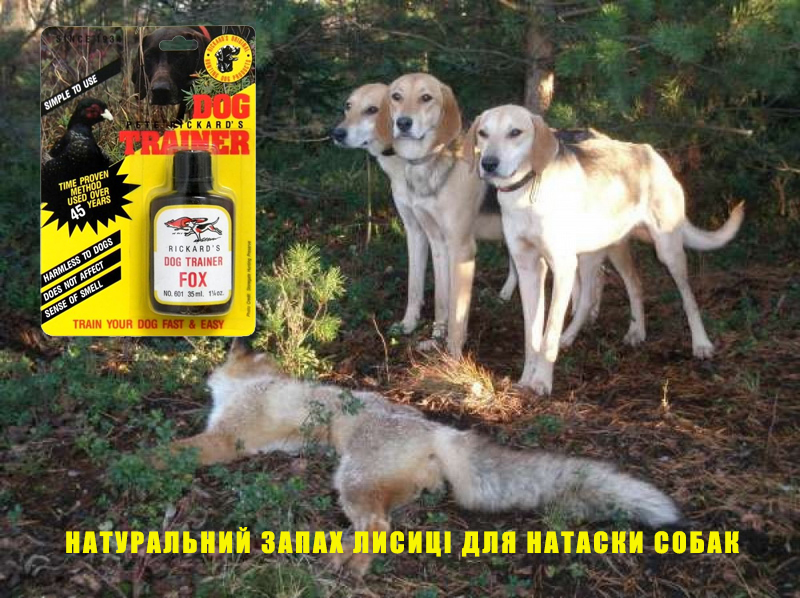 zapah-lisi-glya-nataski-ohotnishih-sobak-fox-training-scent-de601