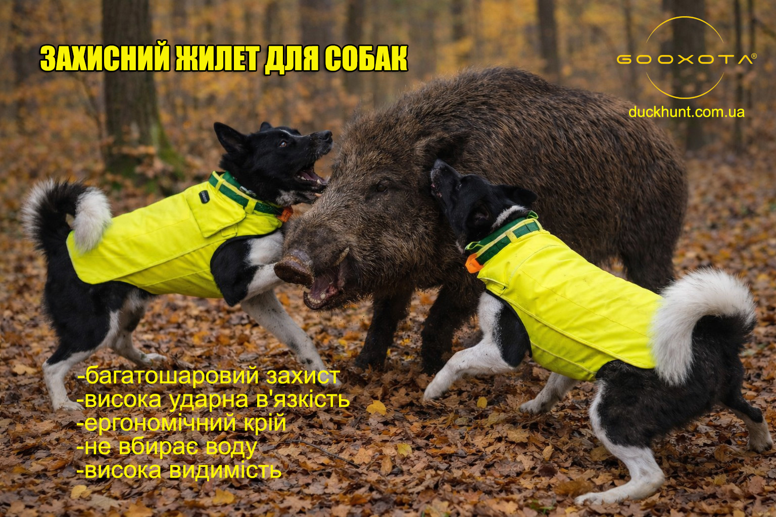 zashitniy-zhilet-dlya-cobaki-gooxota