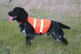 safety dog vest ss310 